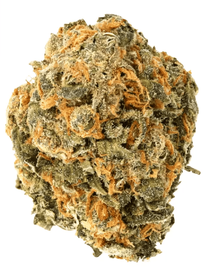 Cannamedical Hybrid Forte NM Gorilla Zkittlez